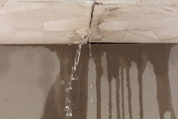 Professional Water Extraction technician working in Shiloh, GA